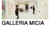 GALLERIA MICIA